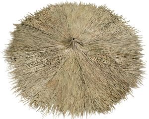 Top Side View Mexican Palm Thatch